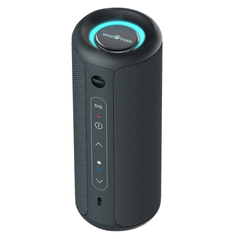 WISETIGER P3 Portable Bluetooth Speaker — 30W, IPX7 Waterproof, RGB Lights