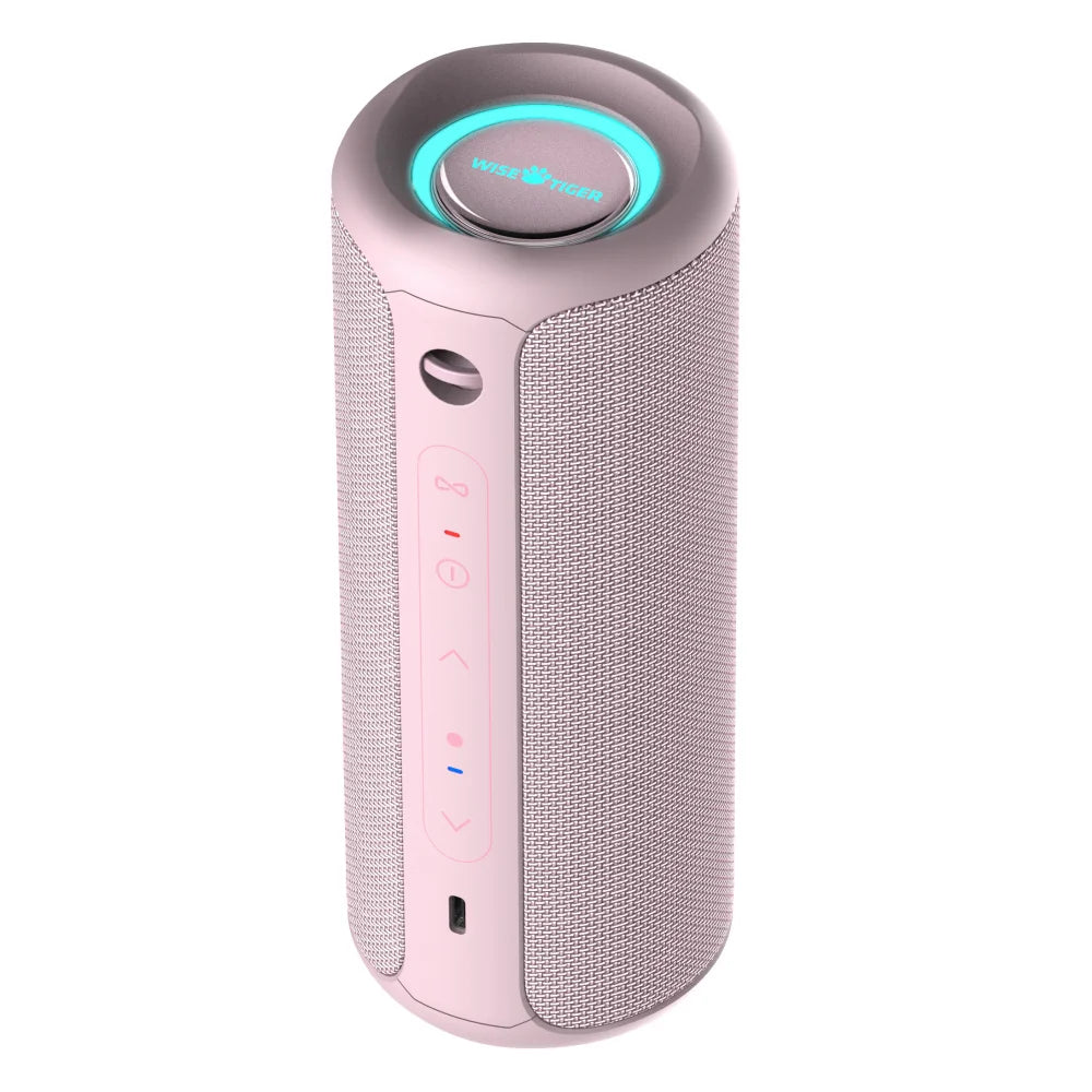 WISETIGER P3 Portable Bluetooth Speaker — 30W, IPX7 Waterproof, RGB Lights